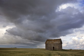Prairie Scene Saskatchewan summer crop harvest Canada