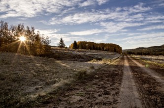 Autumn Colors Cypress Hills Canada interprovincial Park