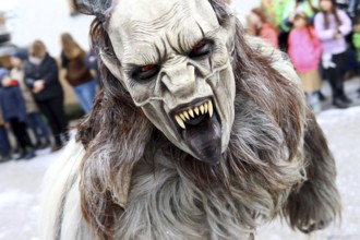 Large Swabian-Alemannic carnival parade