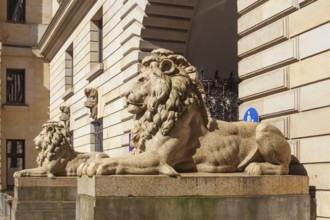 Lion statue at Hamburg City Hall, Hamburg, Germany, Europe
