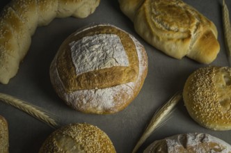 Beautiful Sourdough bread on gray background with dried wheat flower