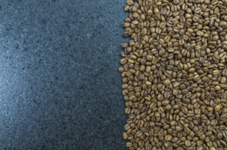Texture, background of whole coffee beans, raw