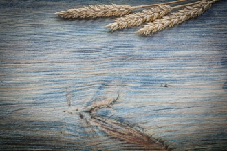 Ripe wheat rye ears on vintage wooden board top view