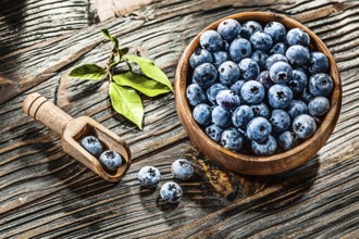 Raw huckleberries in wooden spoon bowl