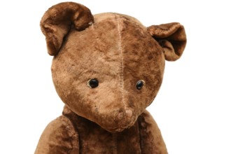 Closeup of the head of a shabby teddy bear toy on a white background