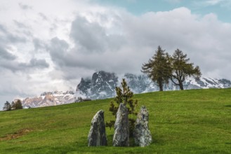 Panoramic view from the Seiser Alm to the Dolomites in South Tyrol, Italy, Europe