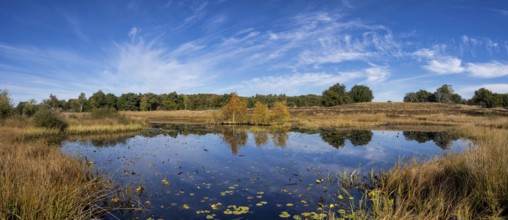 The Rolvennen is a beautiful lake in the Dutch National Park Meinweg close to the city Roermond in