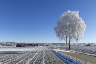 Red train travelling through snow-covered fields next to an icy tree under a clear sky, hoarfrost