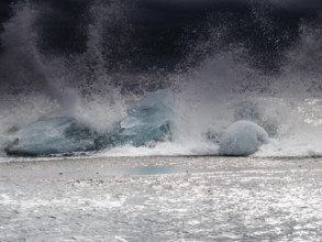 Diamond Beach, icebergs in the surf, near Jökulsarlon glacier lagoon, Vatnajökull National Park,