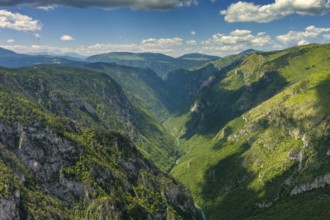 Aerial view of Tara River deep canyon and forest mountain in northern Montenegro