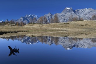 Mountains and a tree trunk are reflected in a calm lake under a clear blue sky, Pizzo Cornera 3083