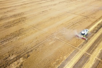 Combine harvester working on a wheat field. Combine harvester Aerial view