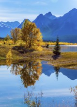 Sunny autumn day in the Rocky Mountains of Canada. The concept of ecological and active tourism.