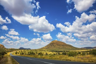 The asphalt road in Namibia in the savannah. Low trees and autumn yellow grass