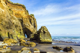 New Zealand, North Island. Powerful cliffs and arches on the Pacific coast. The concept of active