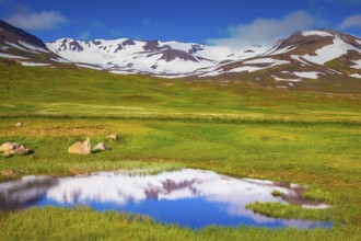 Summer Iceland. The hills are covered with snow and are reflected in a small lake. The fields