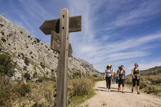 Rail runners, collado de l´Ofre, sierra de Tramuntana, Mallorca, Spain, Europe