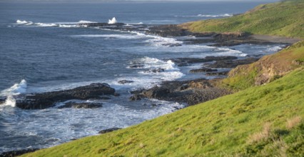 Phillip Island coastline at sunset, Australia, Oceania