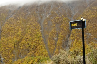 Thanks board, Thilicho, Khangsar, Manang, Nepal, Asia