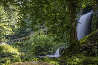 Old Niezelgrund hydroelectric power station Lohmen Gorge waterfall