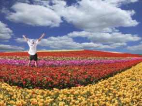 Enthusiastic tourist threw up his hands. Bright festive red blooming field of buttercups. Warm