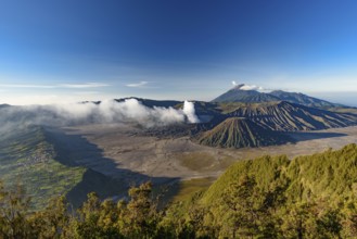 Mount Bromo in Java, the most famous volcano in Indonesia