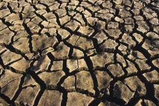 Cracked on earth, clay pattern, prismatic structures in soil, drought