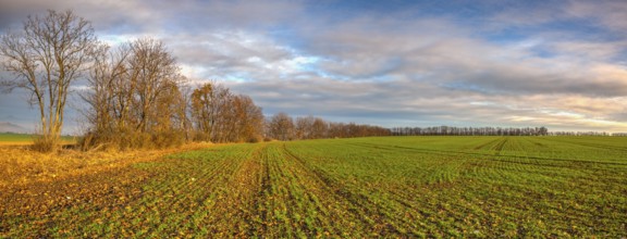 Autumn morning landscape over the city of Louny. Autumn sown field at amazing sunrise. Czech