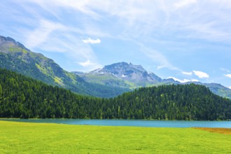 Beautiful Alpine Lake Silvaplana with Mountain View in the Swiss Alps in a Sunny Summer Day in
