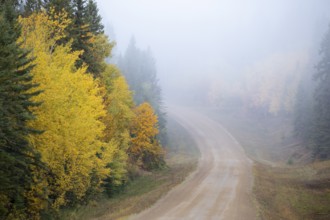 Autumn Northern Saskatchewan wilderness prestine rural scenic