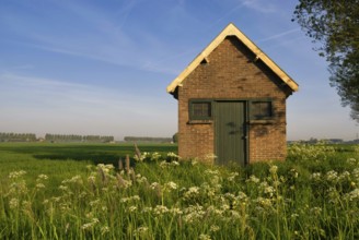 Shed in a wild flower covered landscape near the Dutch city Dordrecht in the province South Holland