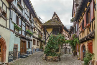 Picturesque historical street in Eguisheim, Alsace, France, Europe
