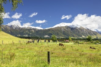 An image of the Mountain Alps scenery in south New Zealand