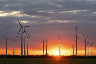 Wind turbines Wind farm at sunset