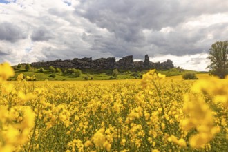 Devil's Wall near Thale in the Harz Mountains with a rape field in bloom