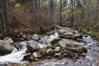 This ascent to Brocken begins in Ilsenburg and follows in Heinrich Heine's footsteps along the Ilse