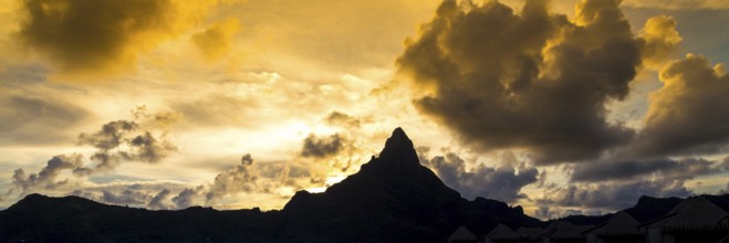 Abstract nature background