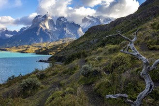 Pehoe lake in Torres del Paine chilean national park in Patagonia