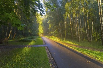 Moscow, Russia, August 28, 2020: People walk along a footpath in a forest park, beautifully lit by