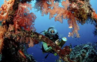 Diver examines Liberty shipwreck, Bali, Tulamben, Indian Ocean, Indonesia, Asia
