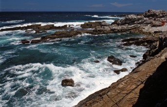 Rugged rocky coast, South Africa, Tsitsikamma National Park, Otter trail, Africa