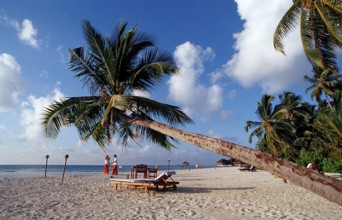 Beach on Maldives Island, Maldives, Indian Ocean, Medhufushi, Meemu Atoll, Asia