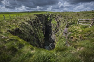 The Gloup, collapsed sea cave, Mull Head, Deerness, Mainland, Orkney Islands, Scotland, Great
