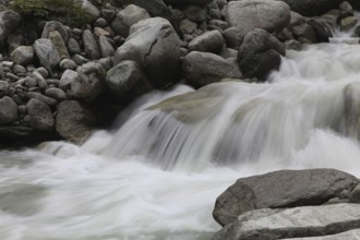Minstigerbach in the Münstertal