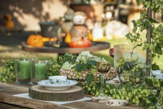 Autumnal decorated table with candles, flowers and vegetables outdoors, borken, münsterland,
