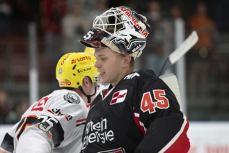 Tobias Ancicka (Cologne Sharks, #45), PENNY DEL, Test match Cologne Sharks - Lions Frankfurt on 25