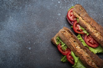 Two dark ciabatta sandwiches with green salad, ripe red tomatoes, onion and tuna on rustic concrete