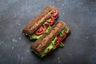 Two dark ciabatta sandwiches with green salad, ripe red tomatoes, onion and tuna on rustic concrete