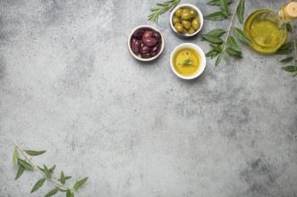 Composition with green and brown olives, extra virgin olive oil in glass bottle, olive tree