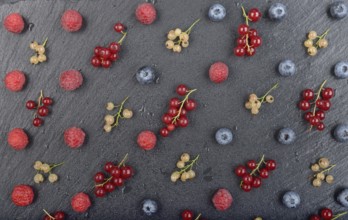 Flat lay view at ripe bilberry raspberry white and red currant on slate stone tray closeup